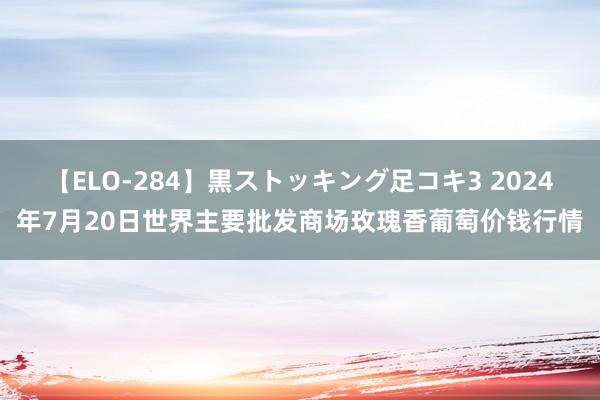 【ELO-284】黒ストッキング足コキ3 2024年7月20日世界主要批发商场玫瑰香葡萄价钱行情