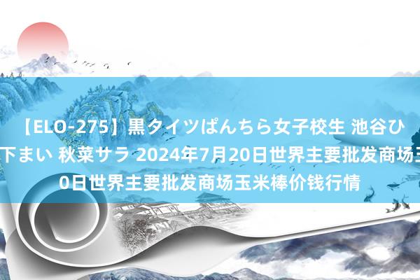 【ELO-275】黒タイツぱんちら女子校生 池谷ひかる さくら 宮下まい 秋菜サラ 2024年7月20日世界主要批发商场玉米棒价钱行情