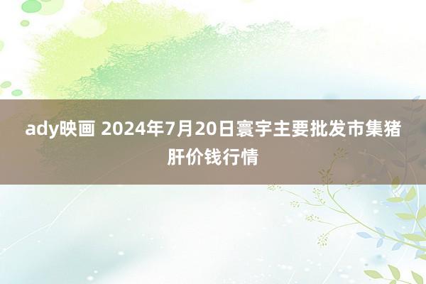 ady映画 2024年7月20日寰宇主要批发市集猪肝价钱行情