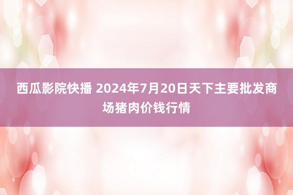 西瓜影院快播 2024年7月20日天下主要批发商场猪肉价钱行情