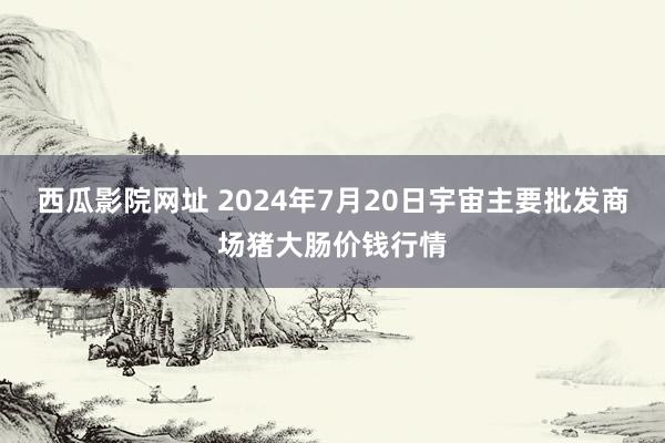 西瓜影院网址 2024年7月20日宇宙主要批发商场猪大肠价钱行情