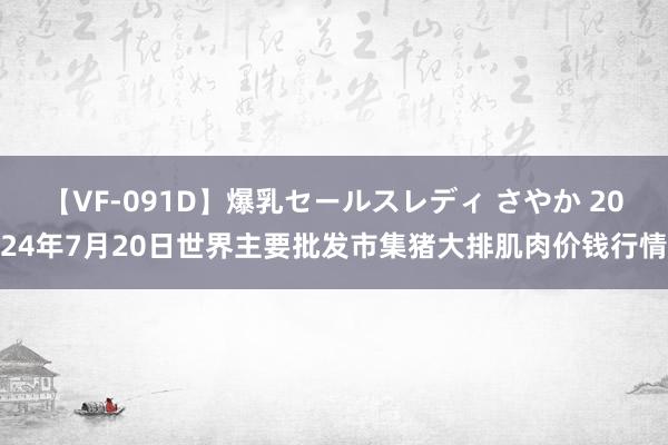 【VF-091D】爆乳セールスレディ さやか 2024年7月20日世界主要批发市集猪大排肌肉价钱行情