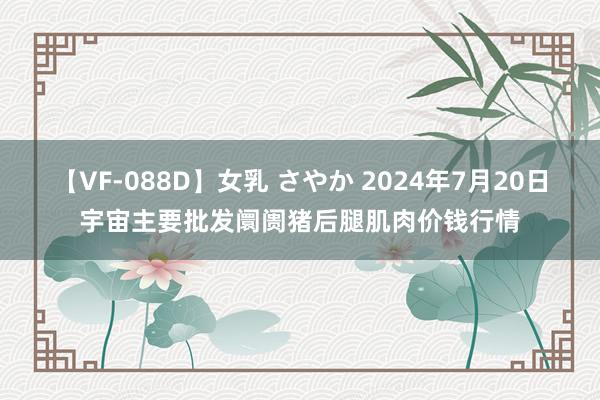 【VF-088D】女乳 さやか 2024年7月20日宇宙主要批发阛阓猪后腿肌肉价钱行情