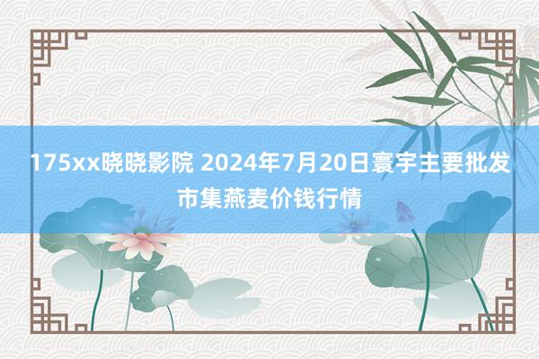 175xx晓晓影院 2024年7月20日寰宇主要批发市集燕麦价钱行情