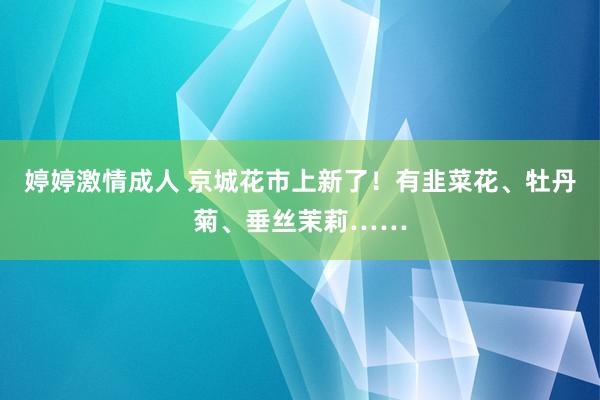 婷婷激情成人 京城花市上新了！有韭菜花、牡丹菊、垂丝茉莉……