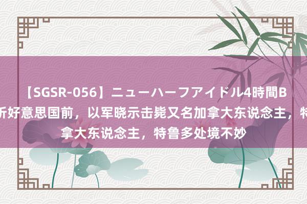 【SGSR-056】ニューハーフアイドル4時間BEST 以总理探听好意思国前，以军晓示击毙又名加拿大东说念主，特鲁多处境不妙