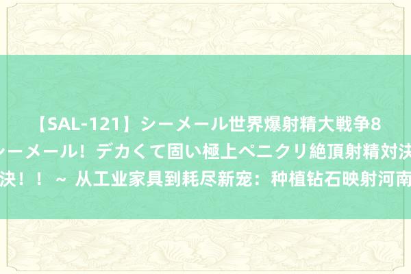 【SAL-121】シーメール世界爆射精大戦争8時間 ～国内＆金髪S級シーメール！デカくて固い極上ペニクリ絶頂射精対決！！～ 从工业家具到耗尽新宠：种植钻石映射河南超硬材料产业高端化进度