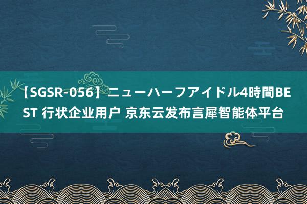 【SGSR-056】ニューハーフアイドル4時間BEST 行状企业用户 京东云发布言犀智能体平台