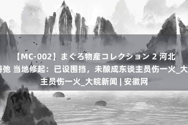 【MC-002】まぐろ物産コレクション 2 河北宣化一处城墙坍弛 当地修起：已设围挡，未酿成东谈主员伤一火_大皖新闻 | 安徽网