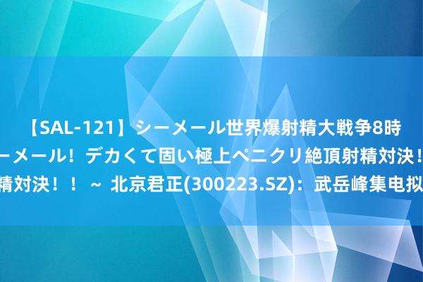 【SAL-121】シーメール世界爆射精大戦争8時間 ～国内＆金髪S級シーメール！デカくて固い極上ペニクリ絶頂射精対決！！～ 北京君正(300223.SZ)：武岳峰集电拟减抓不超87万股