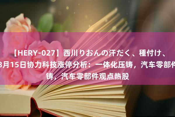 【HERY-027】西川りおんの汗だく、種付け、ガチSEX 8月15日协力科技涨停分析：一体化压铸，汽车零部件观点热股