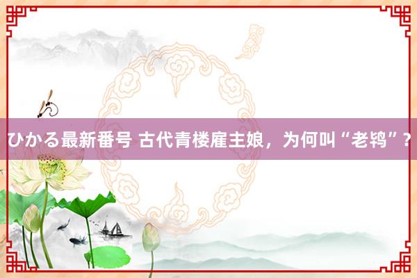 ひかる最新番号 古代青楼雇主娘，为何叫“老鸨”？