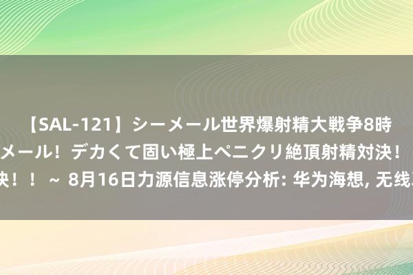 【SAL-121】シーメール世界爆射精大戦争8時間 ～国内＆金髪S級シーメール！デカくて固い極上ペニクリ絶頂射精対決！！～ 8月16日力源信息涨停分析: 华为海想， 无线耳机， 光通讯见识热股