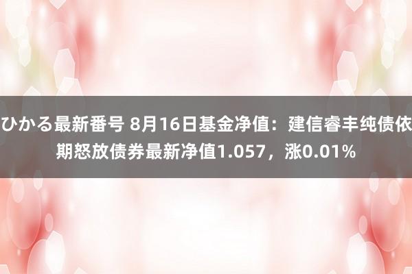 ひかる最新番号 8月16日基金净值：建信睿丰纯债依期怒放债券最新净值1.057，涨0.01%