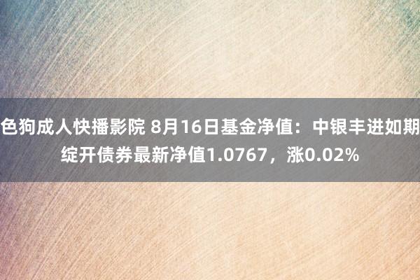 色狗成人快播影院 8月16日基金净值：中银丰进如期绽开债券最新净值1.0767，涨0.02%