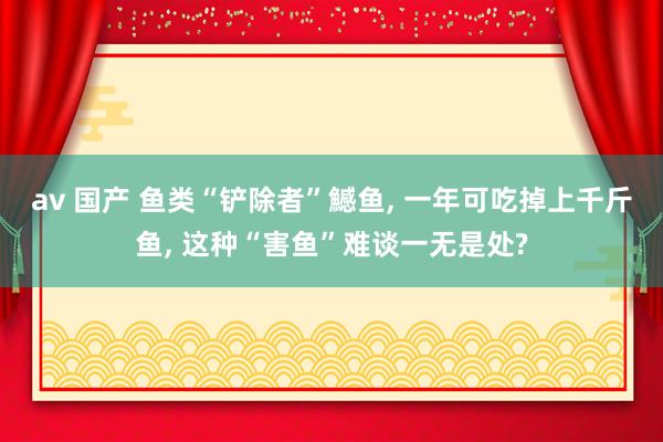 av 国产 鱼类“铲除者”鱤鱼， 一年可吃掉上千斤鱼， 这种“害鱼”难谈一无是处?