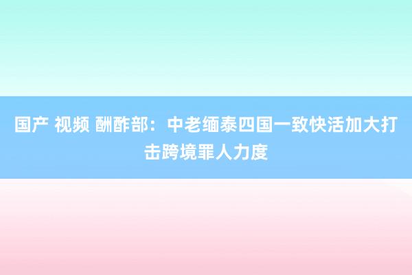 国产 视频 酬酢部：中老缅泰四国一致快活加大打击跨境罪人力度