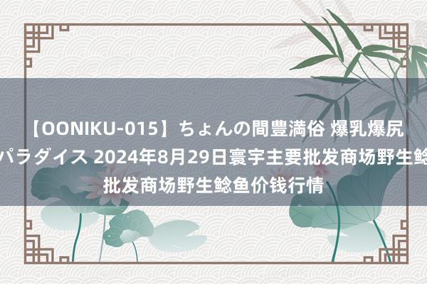 【OONIKU-015】ちょんの間豊満俗 爆乳爆尻専門の肉欲パラダイス 2024年8月29日寰宇主要批发商场野生鲶鱼价钱行情