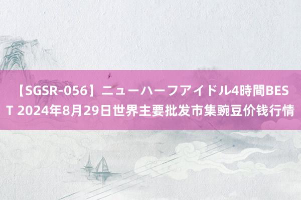 【SGSR-056】ニューハーフアイドル4時間BEST 2024年8月29日世界主要批发市集豌豆价钱行情