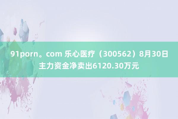 91porn。com 乐心医疗（300562）8月30日主力资金净卖出6120.30万元