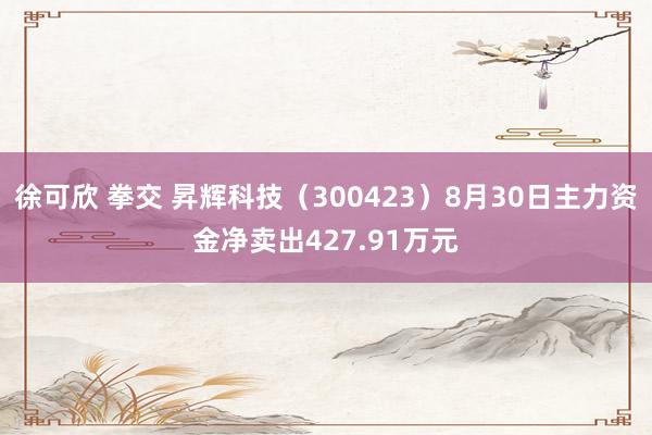 徐可欣 拳交 昇辉科技（300423）8月30日主力资金净卖出427.91万元