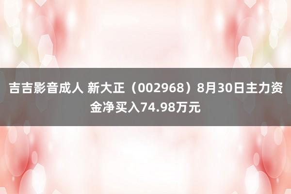 吉吉影音成人 新大正（002968）8月30日主力资金净买入74.98万元