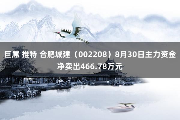 巨屌 推特 合肥城建（002208）8月30日主力资金净卖出466.78万元