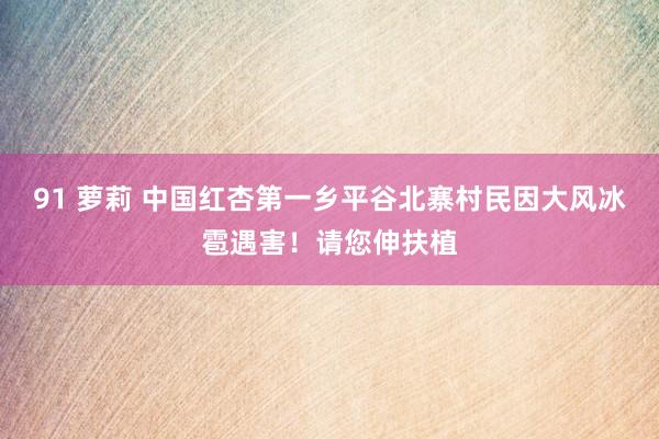 91 萝莉 中国红杏第一乡平谷北寨村民因大风冰雹遇害！请您伸扶植