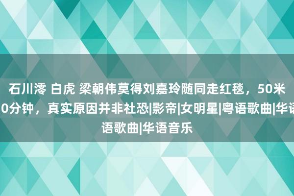 石川澪 白虎 梁朝伟莫得刘嘉玲随同走红毯，50米走了10分钟，真实原因并非社恐|影帝|女明星|粤语歌曲|华语音乐