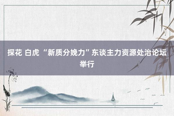 探花 白虎 “新质分娩力”东谈主力资源处治论坛举行