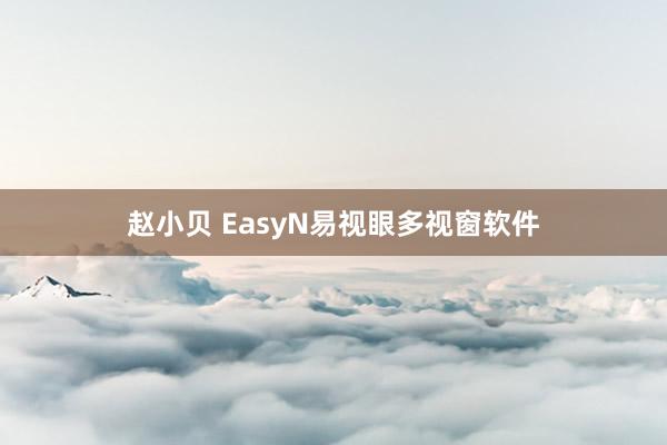 赵小贝 EasyN易视眼多视窗软件